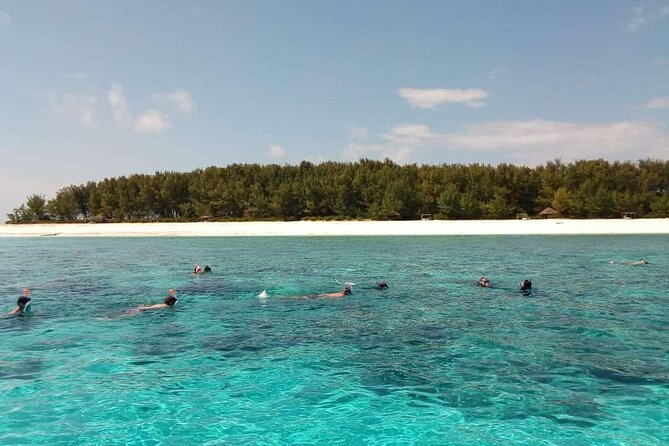 Half Day Zanzibar Mnemba Atoll Marine Reserve Snorkeling Tour - Key points before you book