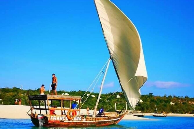 Half Day Zanzibar Mnemba Atoll Marine Reserve Snorkeling Tour - Who will enjoy this Mnemba trip most?