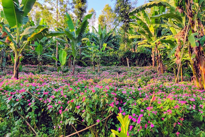 Hidden Arusha Waterfall, Coffee & Village Tour (All-Inclusive) - Swimming at Mangalia Waterfalls