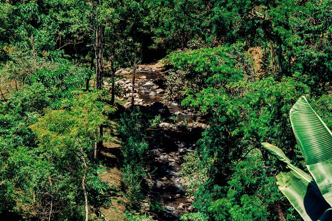 Hidden Arusha Waterfall, Coffee & Village Tour (All-Inclusive) - What $40 really gets you