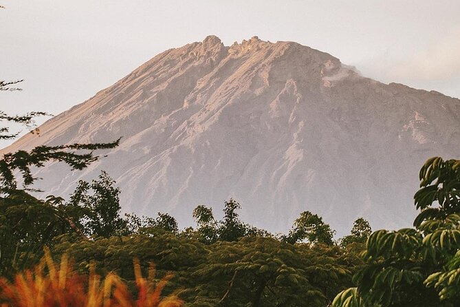 Hidden Arusha Waterfall, Coffee & Village Tour (All-Inclusive) - Who should book this Mount Meru day