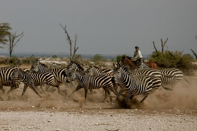 Horse safaris in Tanzania - A Horse Safari Close to Arusha