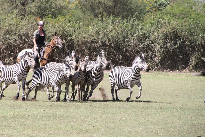 Horse safaris in Tanzania - Why the Small Group Matters