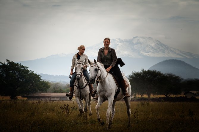 Horse safaris in Tanzania - The Main Drawbacks to Consider