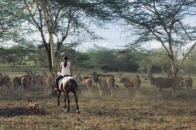 Horse safaris in Tanzania - Who Should Book This Ride