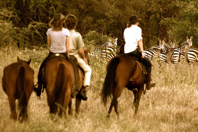 Horse safaris in Tanzania - Choosing Morning or Afternoon