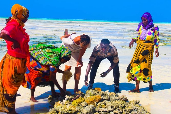Jambiani Village Women at work and play - Key points to know before booking