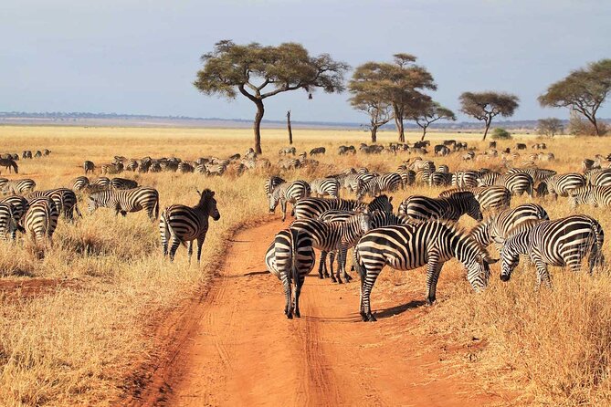 Joining Safari from Mwanza - Day three: an early start and a slow exit
