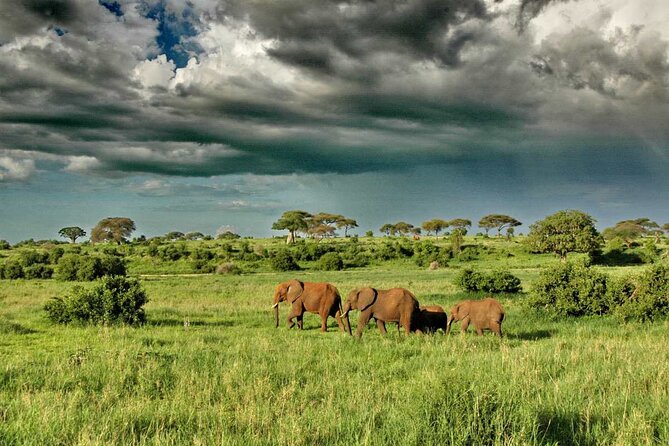 Joining Safari from Mwanza - Camping, lodge upgrades, and what to confirm