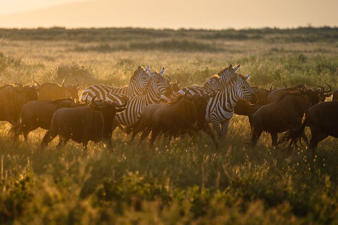 Joining Safari from Mwanza - Meals included, extras excluded