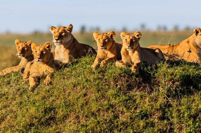 Joining Safari from Mwanza - Day one: entering through the western Serengeti