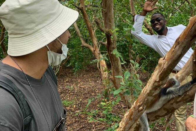 Jozani Forest - The forest walk: monkeys, trees, and changing habitats