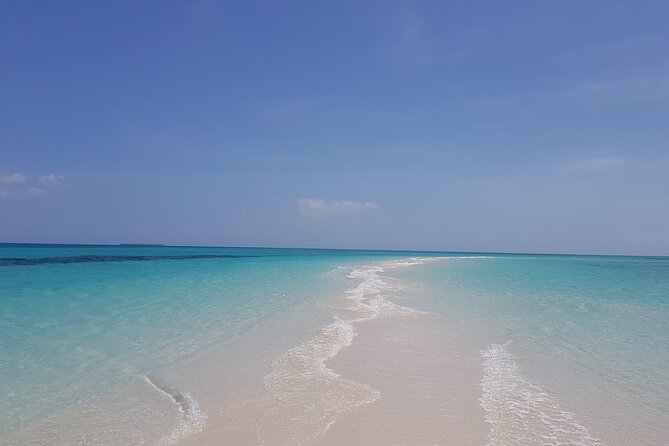 Jozani Forest, Kuza Cave, Paje Beach and The Rock Restaurant - A full Zanzibar day for $100