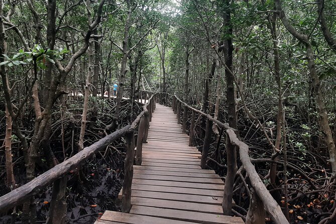 Jozani Forest, Kuza Cave, Paje Beach and The Rock Restaurant - The Rock Restaurant, photo stop or planned lunch