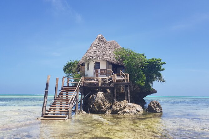 Jozani Forest, Kuza Cave, Paje Beach and The Rock Restaurant - Jozani Forest and Zanzibar’s red colobus monkeys