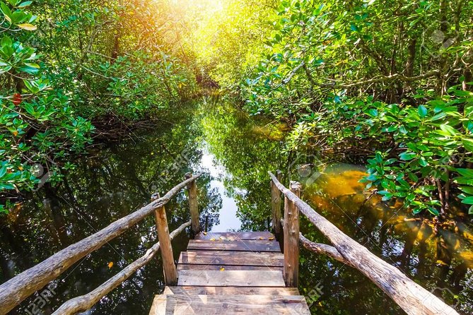 Jozani Forest Reserve Half-Day Guided Tour from Zanzibar - The drive south and the private pickup