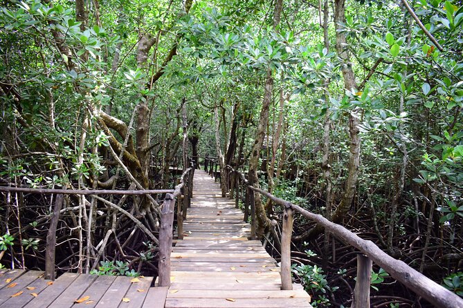 Jozani Forest Tour - Guide quality can shape the whole visit