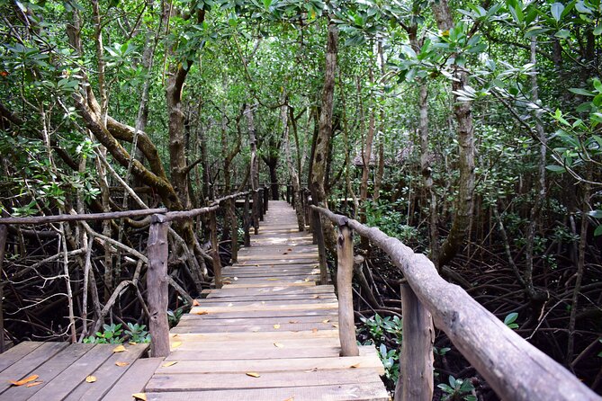 Jozani Forest Tour - Is $48 a fair price?