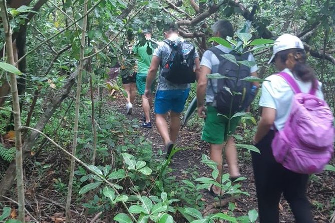 Jozani Forest Tour - Following the red colobus through the forest