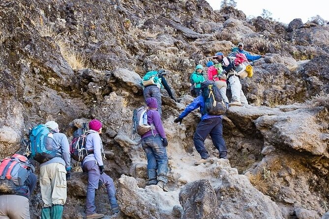 Kilimanjaro 7 Day Private Trekking Experience - Day 6: Uhuru Peak and the long descent