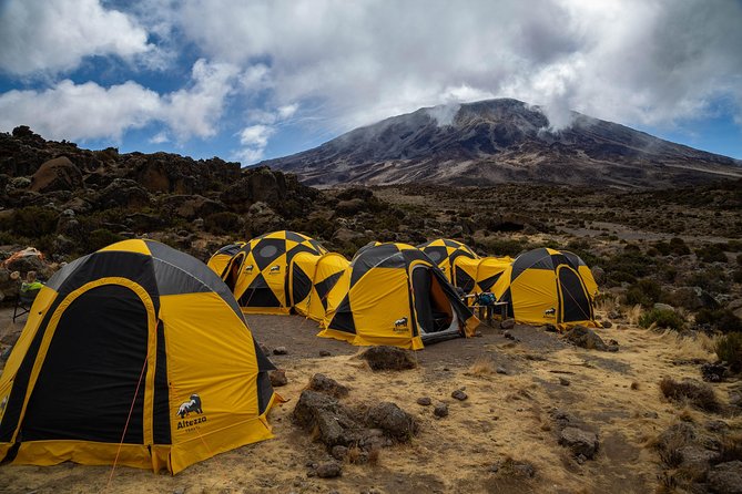 Kilimanjaro climb by Lemosho Route (7-day) - Day 7: Uhuru Peak and the long descent