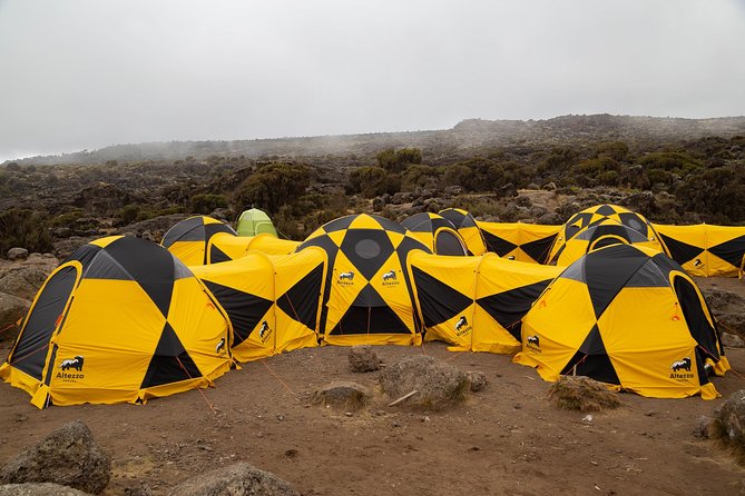 Kilimanjaro climb, Lemosho Route (6-day) - Arrival in Moshi and the First Briefing