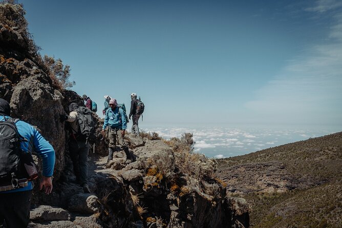 Kilimanjaro climb, Lemosho Route (6-day) - Day Two: Lava Tower and the Barranco Wall