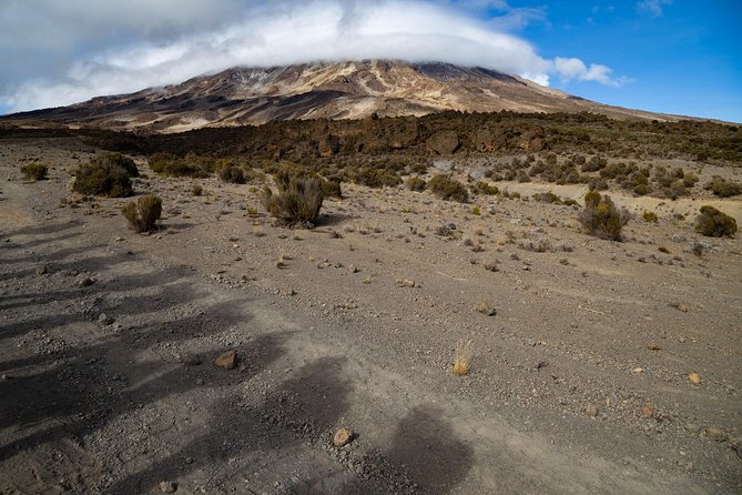 Kilimanjaro climb, Lemosho Route (6-day) - Summit Night: Barafu to Uhuru Peak