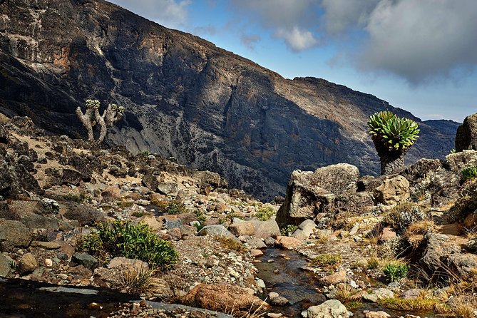 Kilimanjaro climb, Lemosho Route (8-day) - What the $3,975 price really covers