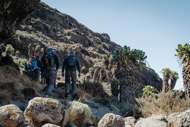 Kilimanjaro climb, Machame Route (7-day) - Day 7: The night climb to Uhuru Peak