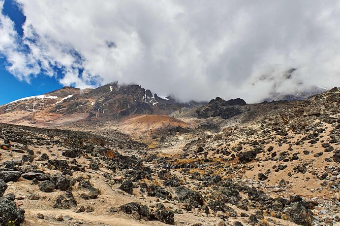 Kilimanjaro climb, Marangu route (6-day) - Day 6: Horombo Hut to Marangu Gate