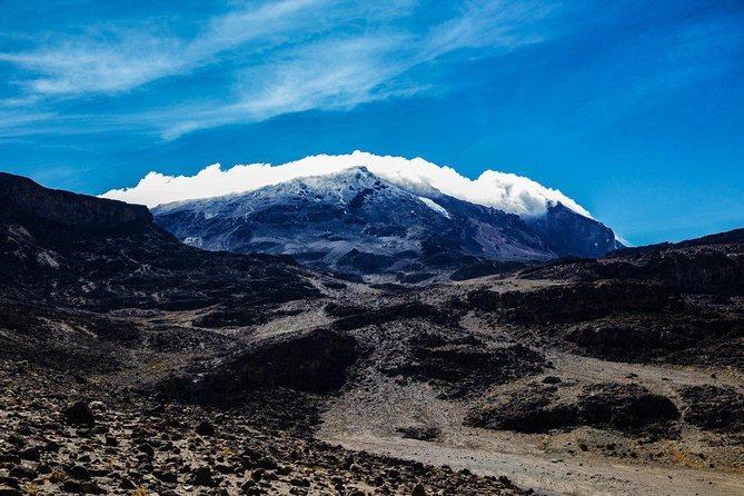 Kilimanjaro climb, Northern Circuit route (8-day) - Day 2: Londorossi Gate and Shira 1
