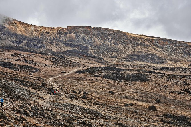 Kilimanjaro climb, Rongai Route (7-day) - Why the Rongai Route is a smart choice