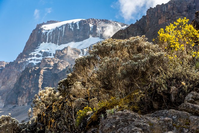 Kilimanjaro climb, Rongai Route (7-day) - Day 5: Mawenzi Tarn and another useful climb
