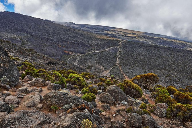 Kilimanjaro climb, Rongai Route (7-day) - Arrival at Aishi Machame Hotel
