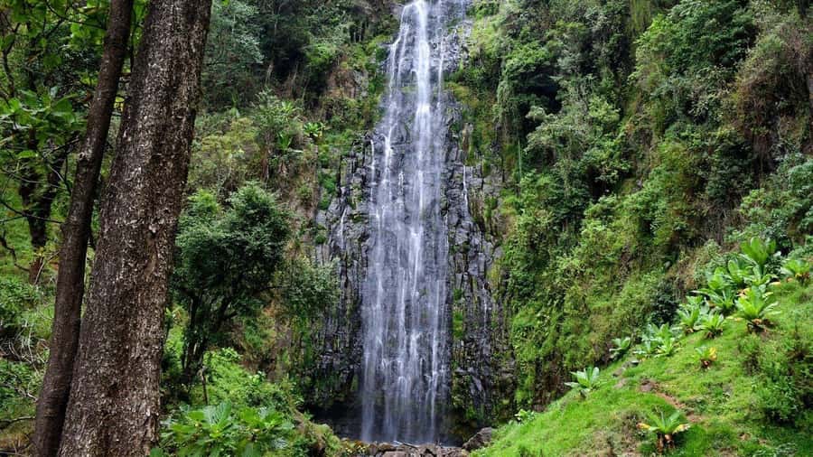Kilimanjaro: Maasai Village Visit, Waterfalls, & Coffee Tour - Should you book this Kilimanjaro day trip?
