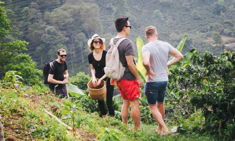 Kilimanjaro: Village Walk, Coffee Tour, Waterfall, and Lunch - Starting near Kilimanjaro with a private pickup