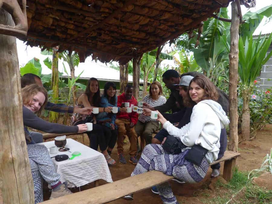 Kilimanjaro: Village Walk, Coffee Tour, Waterfall, and Lunch - Grinding coffee with Chagga songs