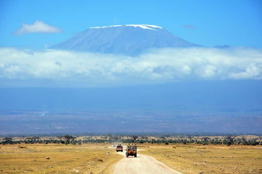 Kilimanjaro: Village Walk, Coffee Tour, Waterfall, and Lunch - What the $87 price includes