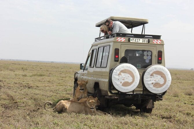 Living Among Lions - Key points to know before you book