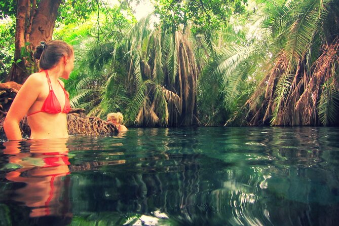 Maasai village visit and Chemka hot-springs with hot lunch. - Is $122 a fair price?