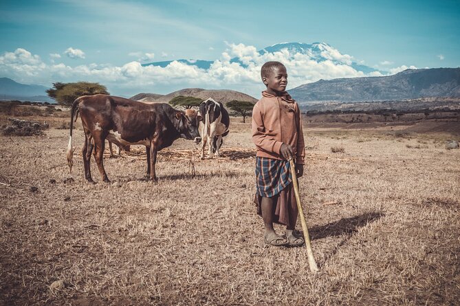 Maasai village visit and Chemka hot-springs with hot lunch. - Who should book this day trip?