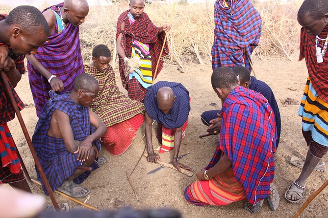 Maasai village visit, Materuni waterfalls & coffee experience - Be clear about what Kilimanjaro means here