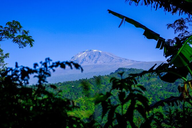 Maasai village visit, Materuni waterfalls & coffee experience - Who will get the most from this experience?