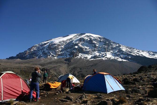 Machame Route 6 days 5 Nights/Kilimanjaro Climb - Day 1: Moshi to Machame Gate and rainforest camp