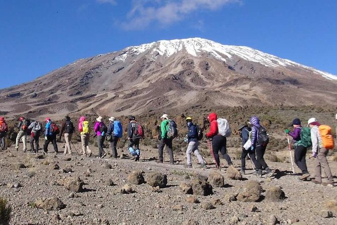 Machame Route 6 days 5 Nights/Kilimanjaro Climb - What $1,990 includes, and what it does not