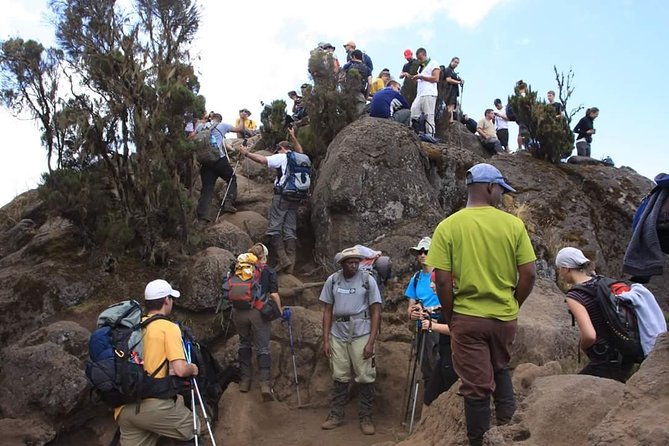 Machame Route 6 days 5 Nights/Kilimanjaro Climb - Food, support, and the human side of the climb