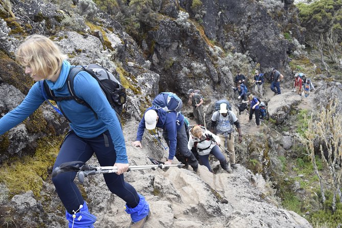 Machame Route 6 days 5 Nights/Kilimanjaro Climb - Day 3: Lava Tower, altitude practice, and Barranco