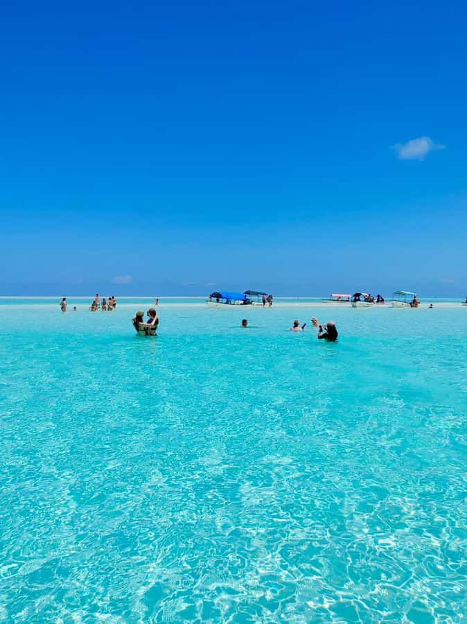 Matemwe: Mnemba Island Dolphin & Snorkeling Boat Trip - Key points to know before you book