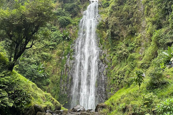 Materuni Waterfall and Coffee Plantation Half Day Tour - Key points to know before you book